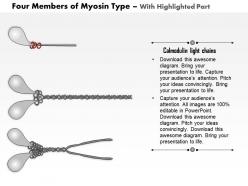 0614 four members of the myosin type medical images for powerpoint