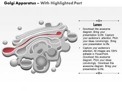 0614 golgi apparatus medical images for powerpoint