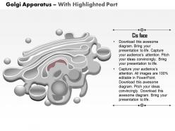 0614 golgi apparatus medical images for powerpoint