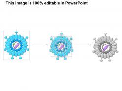 0614 hepatitis b virus medical images for powerpoint