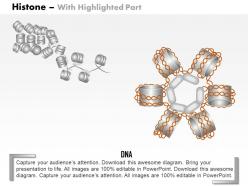 0614 histone biology medical images for powerpoint