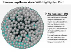 0614 human papilloma virus medical images for powerpoint