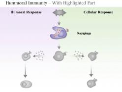 0614 humoral immunity biology medical images for powerpoint