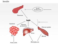 0614 insulin medical images for powerpoint