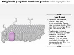 0614 integral and peripheral membrane proteins medical images for powerpoint