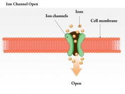 0614 ion channel open medical images for powerpoint