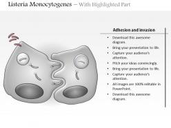 0614 listeria monocytogenes medical images for powerpoint