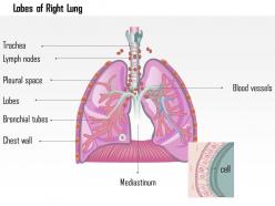47167651 style medical 1 respiratory 1 piece powerpoint presentation diagram template slide