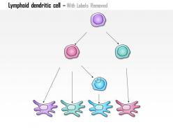 0614 lymphoid dendritic cell biology medical images for powerpoint