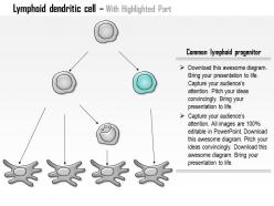 0614 lymphoid dendritic cell biology medical images for powerpoint