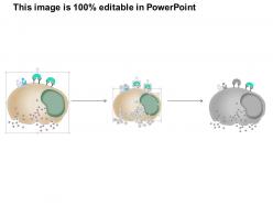 0614 mast cell immune system medical images for powerpoint