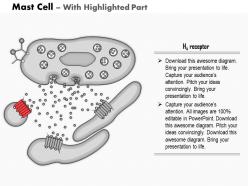 0614 mast cell medical images for powerpoint