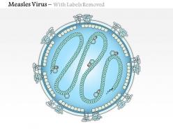 0614 measles virus medical images for powerpoint