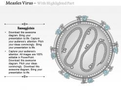 0614 measles virus medical images for powerpoint