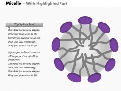 0614 micelle biology medical images for powerpoint