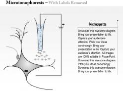 91673360 style medical 3 neuroscience 1 piece powerpoint presentation diagram infographic slide