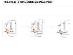 91673360 style medical 3 neuroscience 1 piece powerpoint presentation diagram infographic slide
