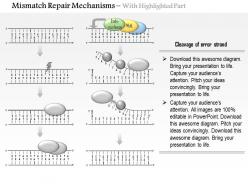 0614 mismatch repair mechanisms medical images for powerpoint