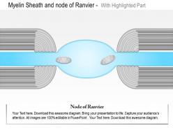 0614 Myelin Sheath And Node Of Ranvier Medical Images For Powerpoint