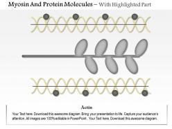 0614 myosin and actin protein molecules medical images for powerpoint