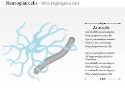0614 neuroglial cells astrocyte medical images for powerpoint