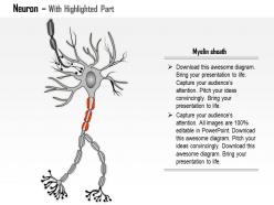 0614 neuron multipolar medical images for powerpoint