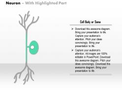 0614 neuron pseudounipolar medical images for powerpoint