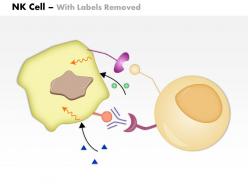 0614 nk cell immune medical images for powerpoint