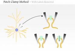 0614 patch clamp method medical images for powerpoint