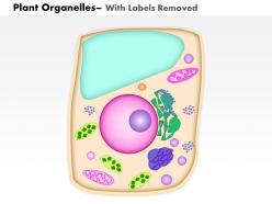 0614 plant organelles medical images for powerpoint