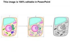 88745269 style medical 3 biology 1 piece powerpoint presentation diagram infographic slide