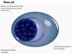 0614 plasma cell biology medical images for powerpoint