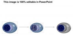 0614 plasma cell biology medical images for powerpoint