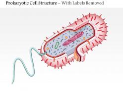 0614 prokaryotic cell structure medical images for powerpoint