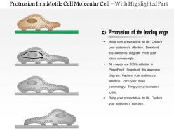 6998764 style medical 3 molecular cell 1 piece powerpoint presentation diagram infographic slide