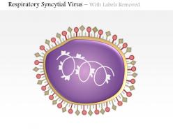 0614 respiratory syncytial virus medical images for powerpoint