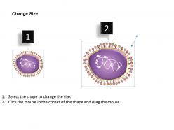 0614 respiratory syncytial virus medical images for powerpoint