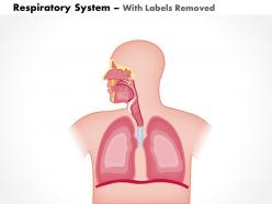 0614 respiratory system medical images for powerpoint