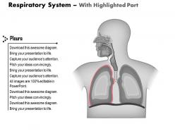 24063159 style medical 1 respiratory 1 piece powerpoint presentation diagram infographic slide