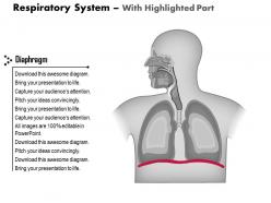 24063159 style medical 1 respiratory 1 piece powerpoint presentation diagram infographic slide