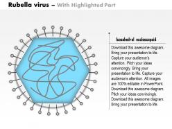 0614 rubella virus medical images for powerpoint