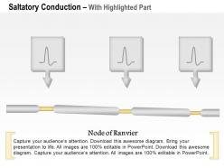 0614 saltatory conduction medical images for powerpoint
