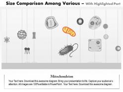0614 size comparison among various atoms molecules and microorganisms medical images for powerpoint