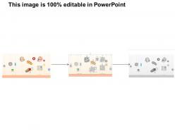 0614 size comparison among various atoms molecules and microorganisms medical images for powerpoint