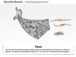 0614 smooth muscle medical images for powerpoint