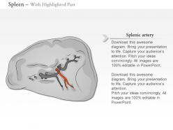 0614 spleen immune medical images for powerpoint