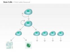 0614 stem cells biology medical images for powerpoint