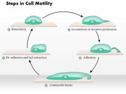 0614 steps in cell motility medical images for powerpoint