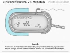 0614 structure of the bacterial cell membrane medical images for powerpoint