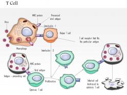 0614 t cell immune medical images for powerpoint
